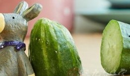 吃黄瓜最新事件爆料,揭秘近期吃黄瓜事件的最新动态与争议